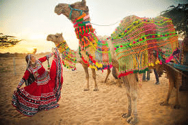 Experience the Rich Culture of Jaipur